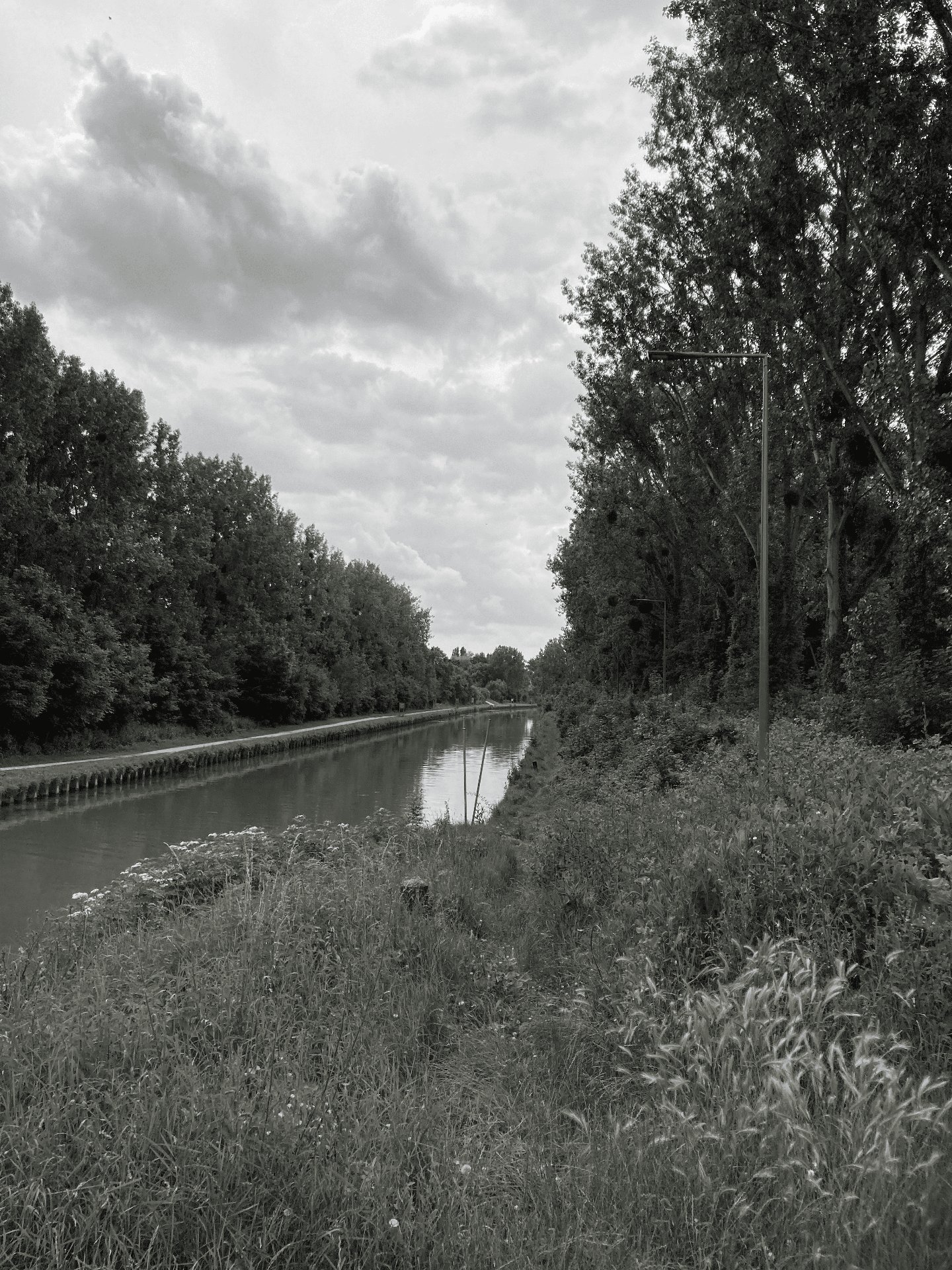 Requalification îlot rue de Torcy